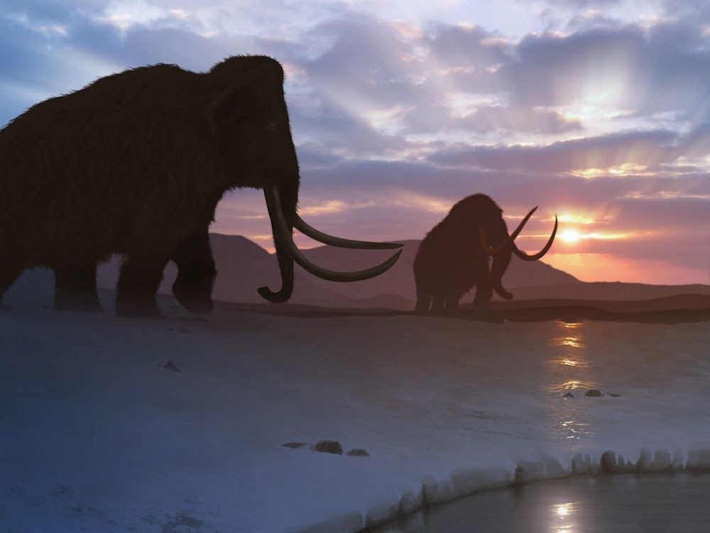 Paläontologie: Mammut auf der Flucht