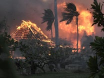 Waldbrände in Hawaii: Lahaina? Gibt es nicht mehr