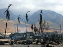 Brände in Hawaii: „Die größte Naturkatastrophe, die wir je erlebt haben“