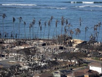 Brände auf Hawaii: Die Natur schlägt zurück