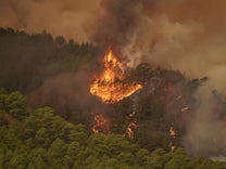 Waldbrände: „In einem gesunden Wald ist es gar nicht so einfach, mit einer Kippe etwas anzuzünden“