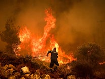 Umweltkatastrophe: Waldbrände wüten weiter – Griechenland hofft auf Regen