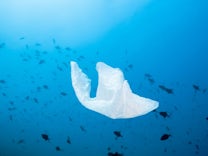 Umweltschutz: Schweden schafft Steuer auf Plastiktüten wieder ab