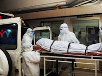 Zoonose: Zwei Tote nach Nipah-Virus – Lockdown im Süden Indiens