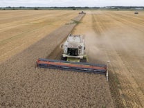 Handelspolitik: Getreide aus der Ukraine darf wieder in die EU