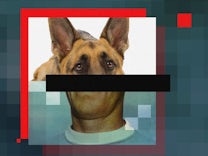 Digitale Privatsphäre: Im Internet weiß immer noch niemand, dass du ein Hund bist