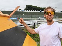 Sebastian Vettel: To Bee or not to Bee?