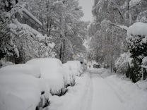 Wintereinbruch in München und Umgebung: Versunken im Schnee