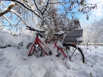 Liveblog: Zu viel Schnee auf den Dächern: Schulen bleiben geschlossen