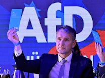 Debatte über ein AfD-Verbot: „Eine rein rechtliche Strategie wird nicht gelingen“