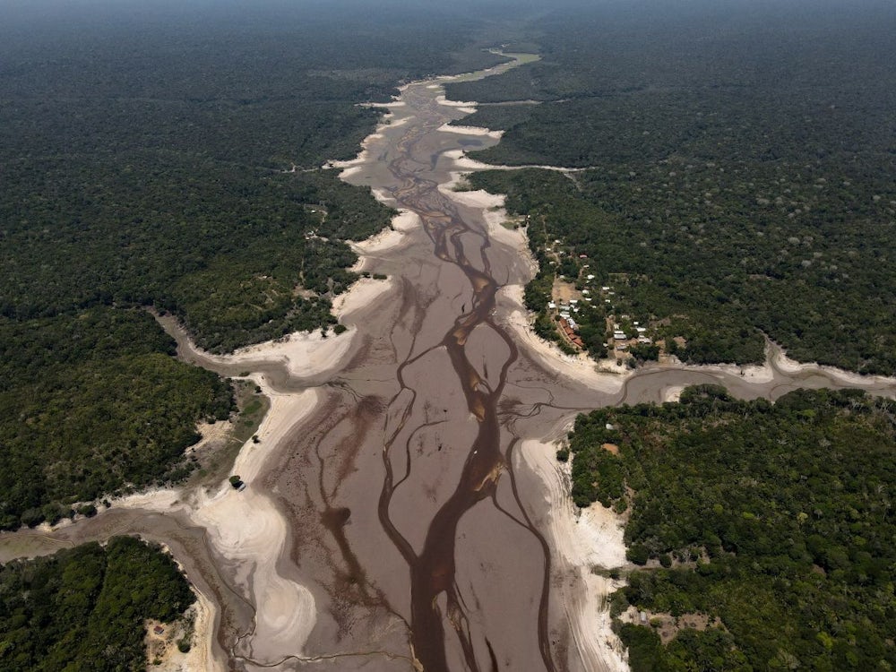 Klimakrise: Im Amazonas verwandelt sich der Regenwald in Savanne
