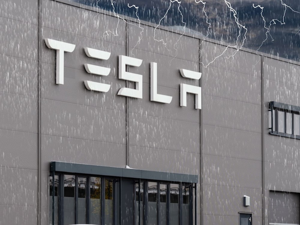 Elon Musk: Der Widerstand gegen Tesla wird immer größer