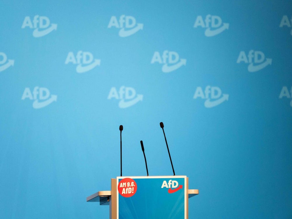 AfD: Wahlkampf ohne den Kandidaten