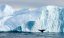 Walbeobachtung Grönland