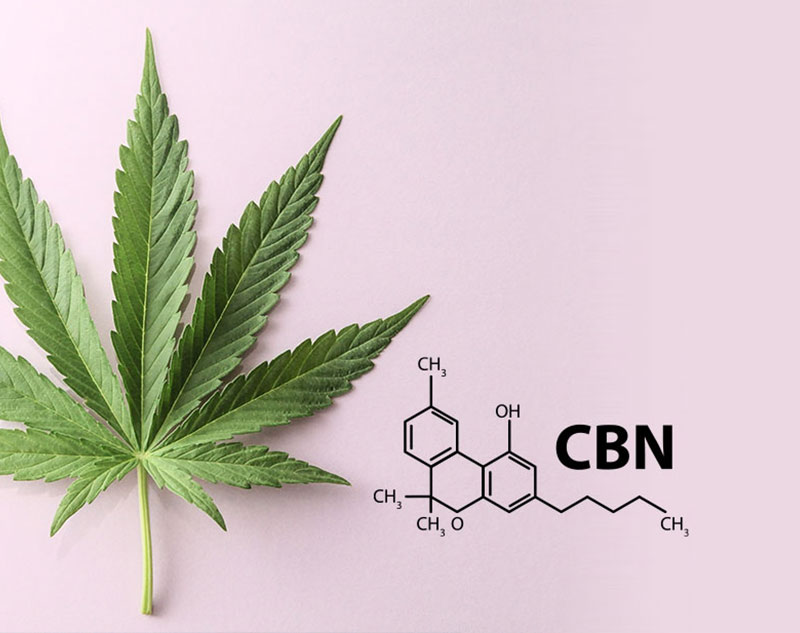 Cannabinol: Was steckt hinter dem Cannabinoid CBN? - SZ.de