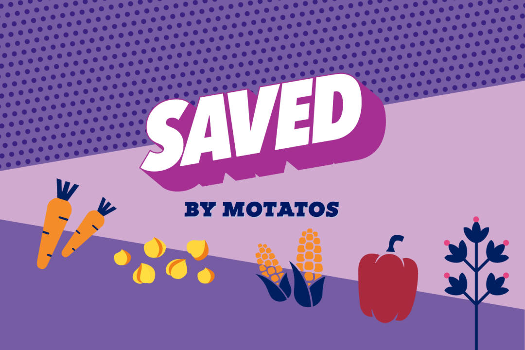 Jetzt Lebensmittel mit Motatos Retten und mit Gutscheinen noch mehr sparen!
