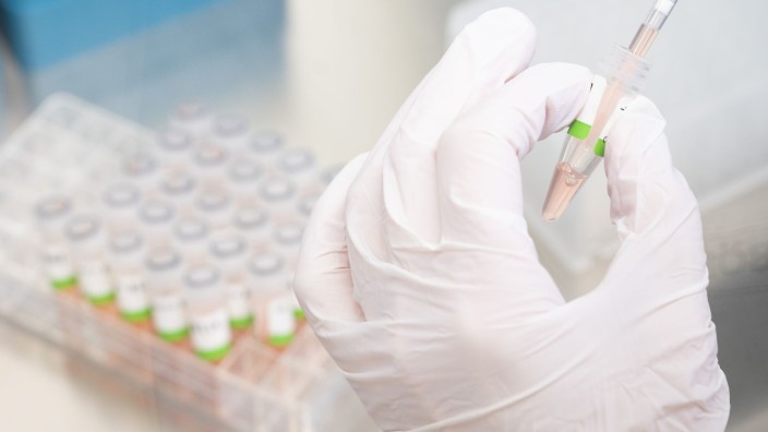 Gesundheit - Dresden: Eine biologisch-technische Assistentin bereitet PCR-Tests für die Analyse vor. Foto: Julian Stratenschulte/dpa/Symbolbild