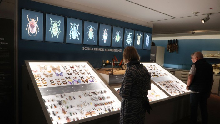 Ausstellungen - Erfurt: Besucher stehen in einem Ausstellungsraum im Naturkundemuseum. Foto: Bodo Schackow/dpa