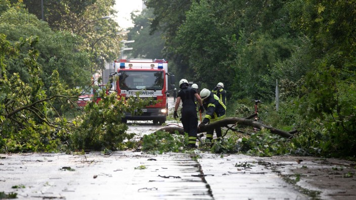 Wetter - Duisburg: Einsatzkräfte der Feuerwehr räumen einen entwurzelten Baum von einer Straße. Foto: Thomas Banneyer/dpa