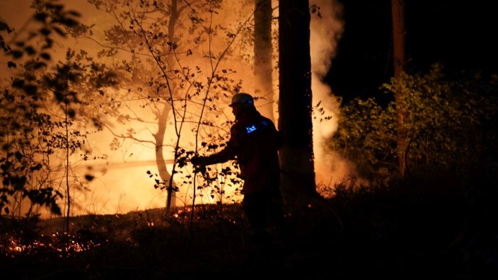 Brände - München: Ein Feuerwehrmann löscht einen Waldbrand. Foto: Carsten Schmidt/Feuerwehr Bleckede/dpa/Symbolbild