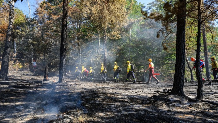 Brände - Bad Schandau: Freiwillige Feuerwehrleute des Internationalen Katastrophenschutz Deutschland "@fire" beim Einsatz im Nationalpark. Foto: Robert Michael/dpa/Archivbild