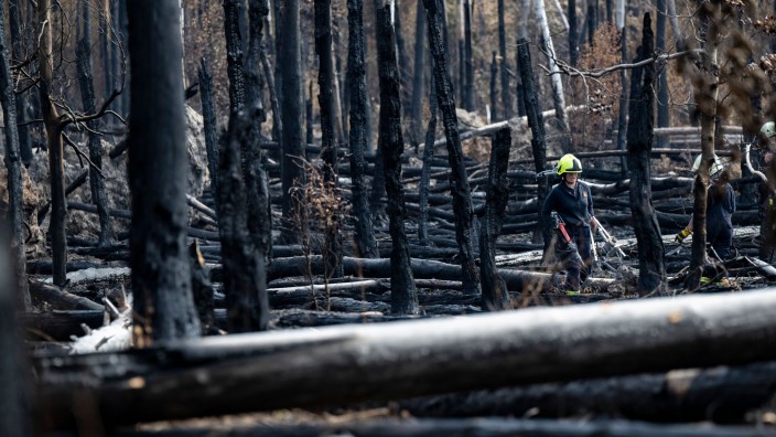 Brände - Münster: Feuerwehrleute tragen ihre Ausrüstung aus einem niedergebrannten Wald bei Münster in Hessen. Foto: Boris Roessler/dpa