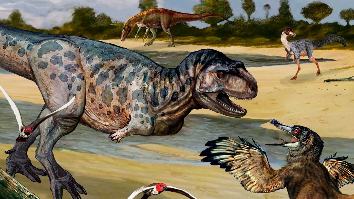 Ciencia – Huesos de nueva especie de dinosaurio descubiertos en Argentina – Conocimiento
