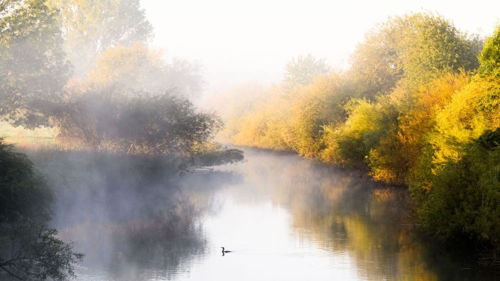 Weather - Braunschweig: A cormorant swims on the Leine river in the southern region of Hanover at sunrise. Photo: Julian Stratenschulte/dpa/Symbolbild