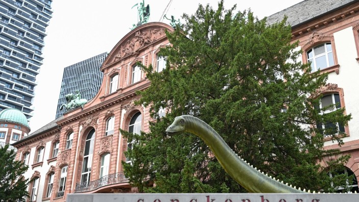 Museen - Frankfurt am Main: Ein rekonstruierter Langhals-Dinosaurier steht als Wahrzeichen vor dem Senckenberg-Museum. Foto: Arne Dedert/dpa