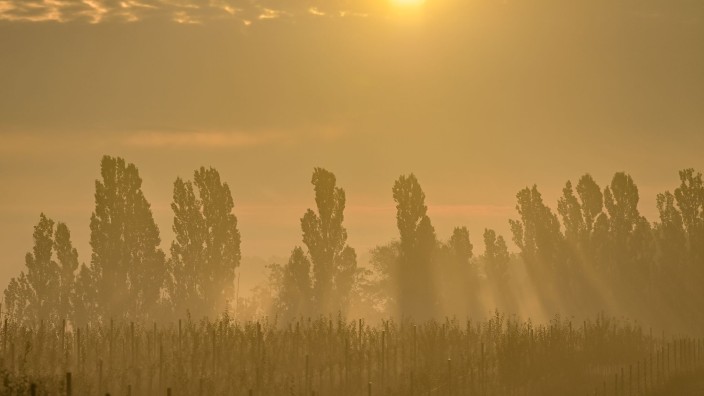 Weather - Offenbach am Main: Fog veils the landscape in the early morning at sunrise.  Photo: Patrick Pleul/dpa/symbol image