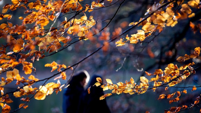 Wetter - Essen: Zwei Menschen gehen zwischen herbstlichen Bäumen hindurch. Foto: Federico Gambarini/dpa/Symbolbild