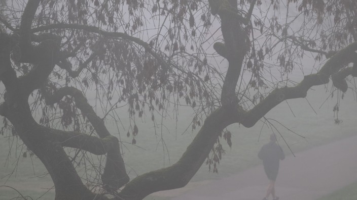 Wetter - Schwerin: Ein Mann joggt im Nebel. Foto: Marijan Murat/dpa/Symbolbild