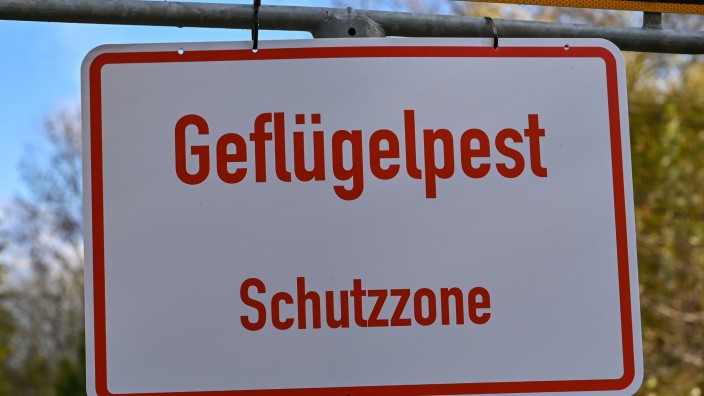 Gesundheit - Wiesbaden: Ein Schild mit der Aufschrift "Geflügelpest Schutzzone". Foto: Patrick Pleul/dpa-Zentralbild/dpa/Symbolbild