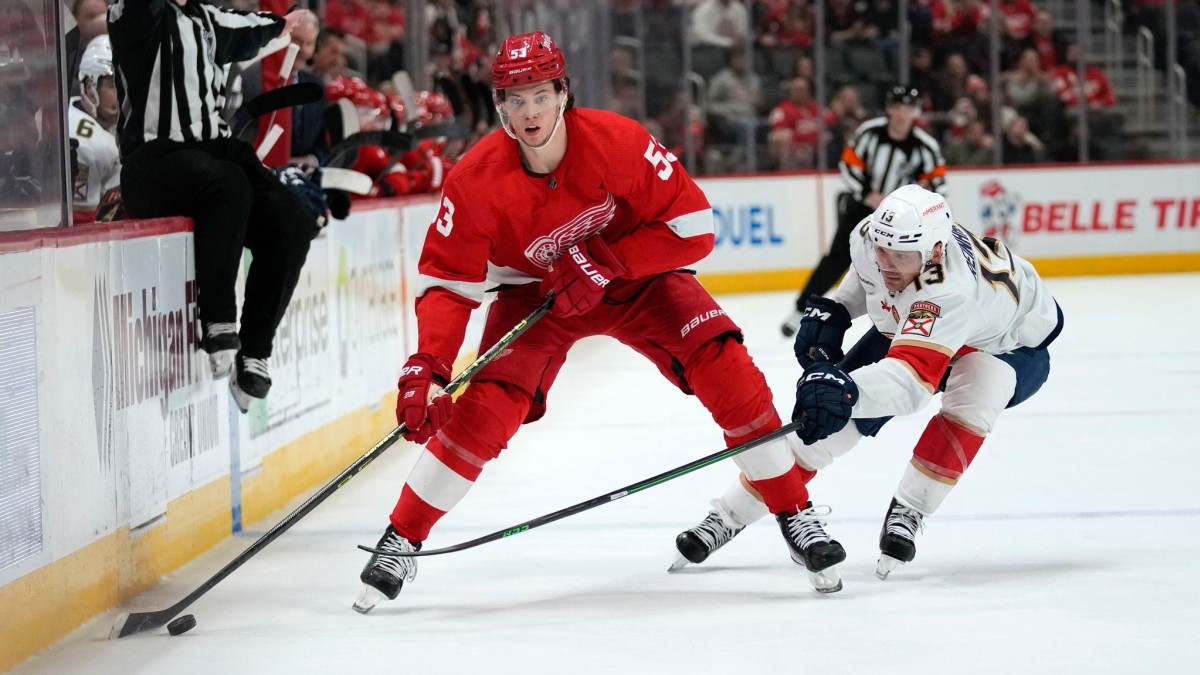 Hockey – NHL: Seider loses with Detroit – Sport