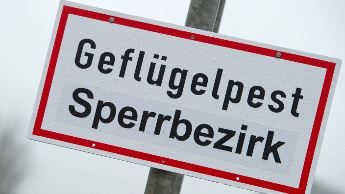 Tiere - Schwandorf: Ein Schild mit der Aufschrift "Geflügelpest Sperrbezirk". Foto: Stefan Sauer/dpa-Zentralbild/dpa/Symbolbild