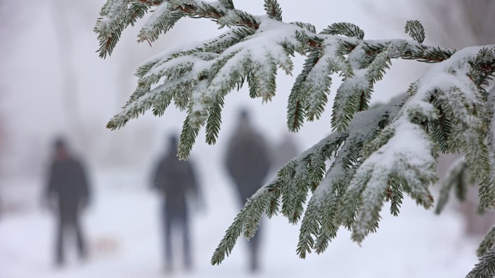Wetter - Pirna: Ein schneebedeckter Tannenzweig hängt über einem Weg, auf dem Wanderer entlang gehen. Foto: Matthias Bein/dpa/Archivbild