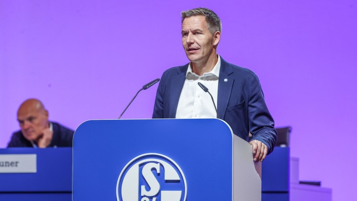 Fußball - Gelsenkirchen: Schalkes Aufsichtsratsvorsitzender Axel Hefer spricht zu den Mitgliedern. Foto: Tim Rehbein/dpa/Archivbild