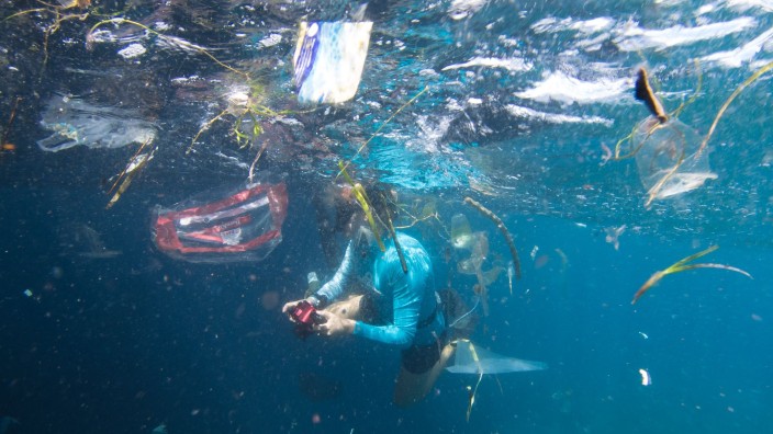 Wasser - Paris: Eine Wissenschaftlerin schwimmt zwischen schwimmenden Plastikfragmenten. Foto: Marine Megafauna Foundation/dpa/Archiv