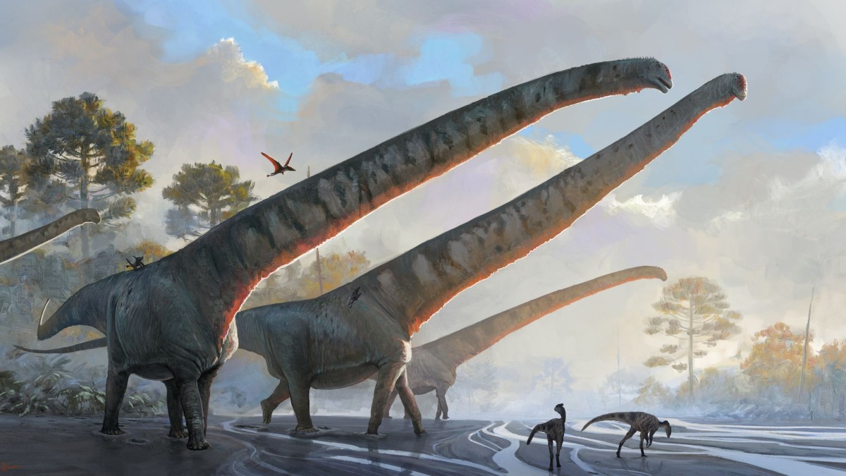 Wetenschap – Wetenschappers hebben tot nu toe dinosaurussen met lange nekken gevonden – kennis