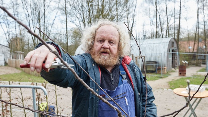 Agrar - Rosengarten: Eckart Brandt, ehemaliger Obstbauer und Autor, beschneidet einen Jungbaum der Sorte "Holländer Prinz". Foto: Georg Wendt/dpa