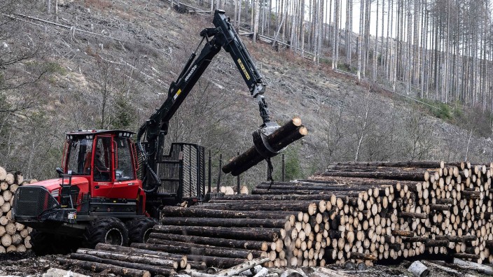 Forstwirtschaft - : Ein Forstfahrzeug verlädt im Kellwassertal Fichtenbaumstämme zum Abtransport. Foto: Swen Pförtner/dpa/Archivbild
