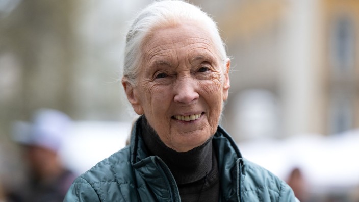 Natur - München: Die britische Verhaltensforscherin Jane Goodall steht nach einer Pressekonferenz im Presseclub auf dem Marienplatz. Foto: Sven Hoppe/dpa
