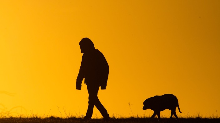 Urteile - Frankenthal: Ein Mann spaziert mit einem Hund bei Sonnenaufgang über einen Feldweg. Foto: Julian Stratenschulte/dpa/Symbolbild