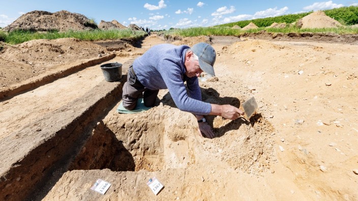 Archäologie - Kropp: Grabungsfacharbeiter Werner Gehrke legt einen Pfosten eines Grubenhauses frei. Foto: Markus Scholz/dpa