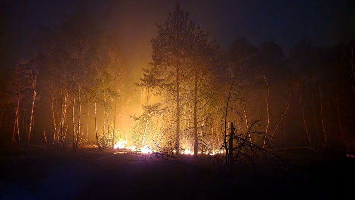 Brände - : Flammen lodernden bei einem Waldbrand auf einem ehemaligen Truppenübungsplatz bei Jüterbog. Foto: Cevin Dettlaff/dpa