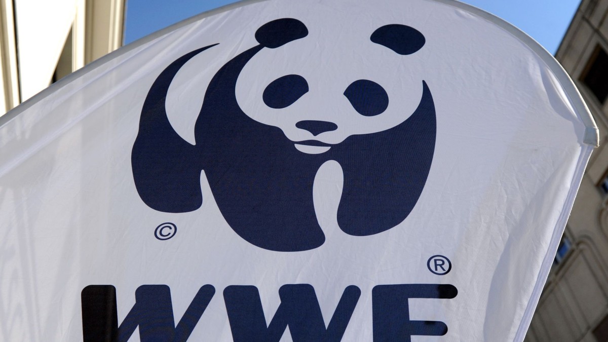 Przyroda – Berlin – WWF Niemcy apeluje o wstrzymanie rozbudowy Odry – Gospodarka