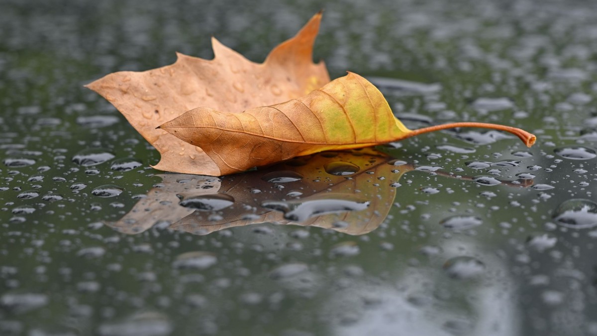 Autumn Weather Forecast: Clouds and Rain in Rhineland-Palatinate and Saarland