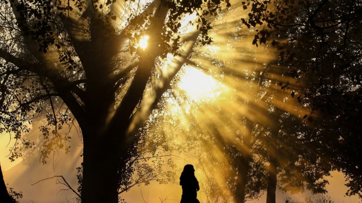 Wetter - Berlin: Eine Frau läuft im herbstlichen Morgennebel an Bäumen vorbei. Foto: Thomas Warnack/dpa/Symbolbild