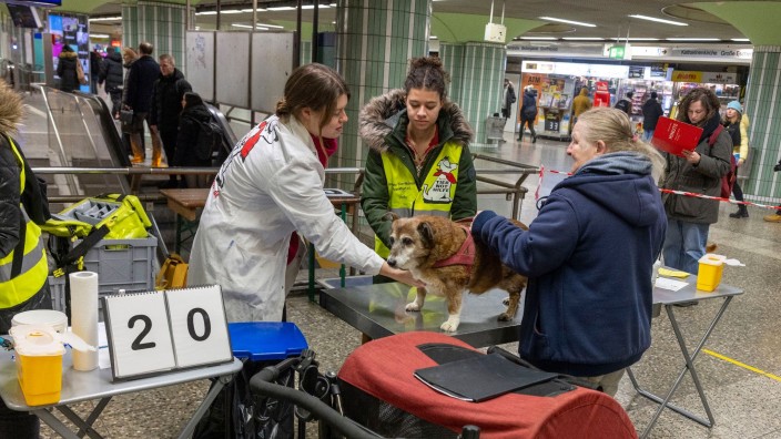 Tiere - Frankfurt am Main: Eine Tierärztin vom Verein „Tier-Not-Hilfe“ untersucht den 17 Jahre alte Mischlingshund Trixi. Foto: Helmut Fricke/dpa