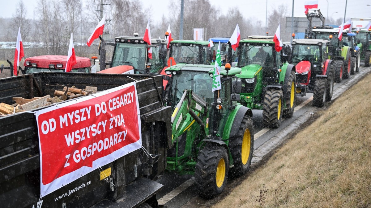 Rolnictwo – Protesty chłopskie w całej Polsce – Gospodarka